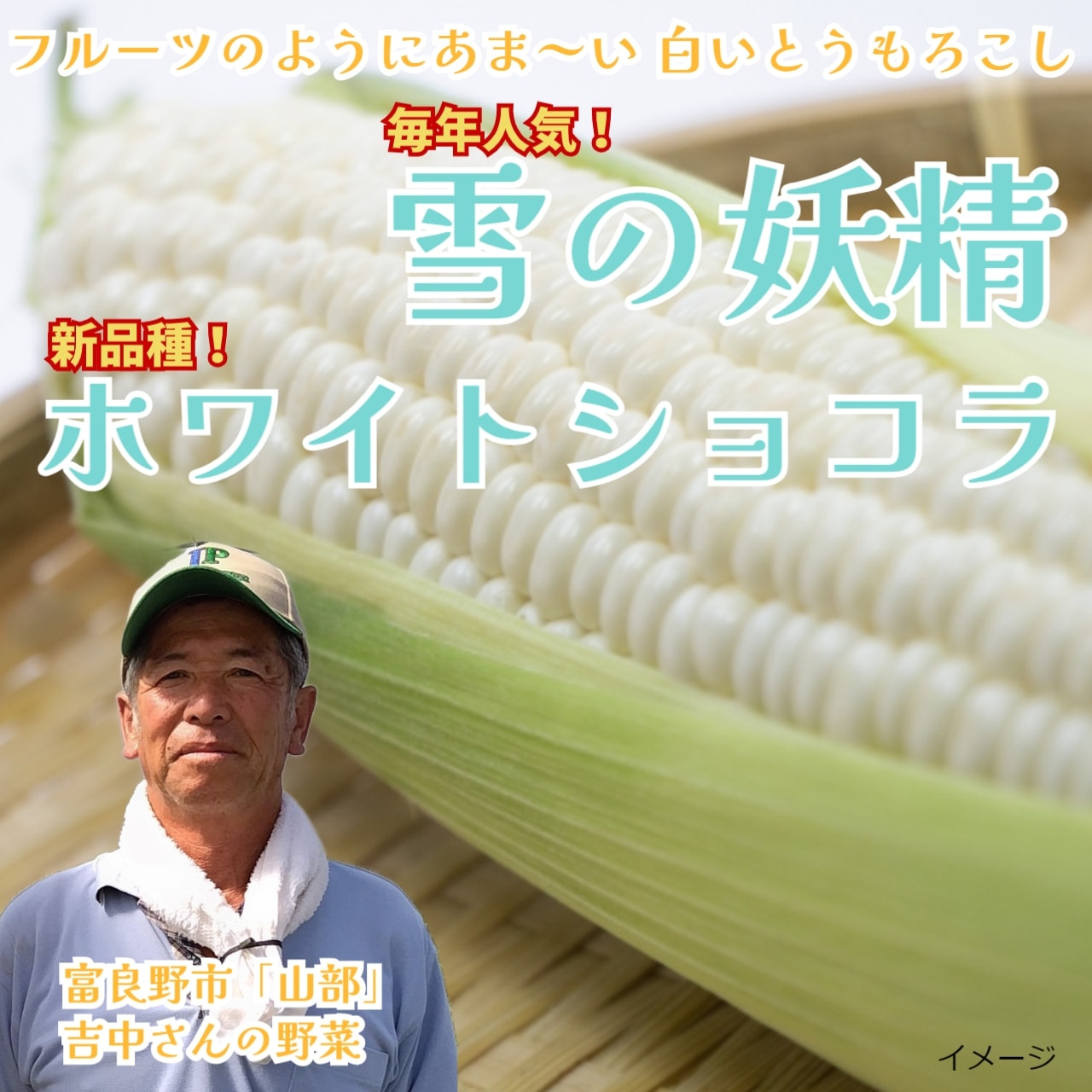 【糖度20度前後！】白いとうもろこし 「雪の妖精」「ホワイトショコラ」 10本入り・20本入り　北海道富良野市山部より朝採り直送