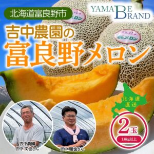 吉中農園メロン2玉
