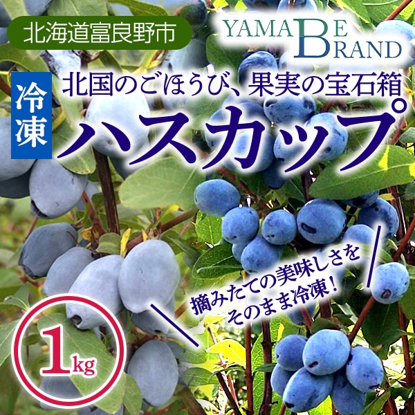 【送料込】「富良野市山部・冷凍ハスカップ1kgパック」 摘みたての美味しさをそのままギュッと冷凍!栄養たっぷり!!