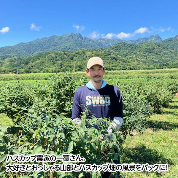 【送料込】「富良野市山部・冷凍ハスカップ１kgパック」 摘みたての美味しさをそのままギュッと冷凍！栄養たっぷり！！